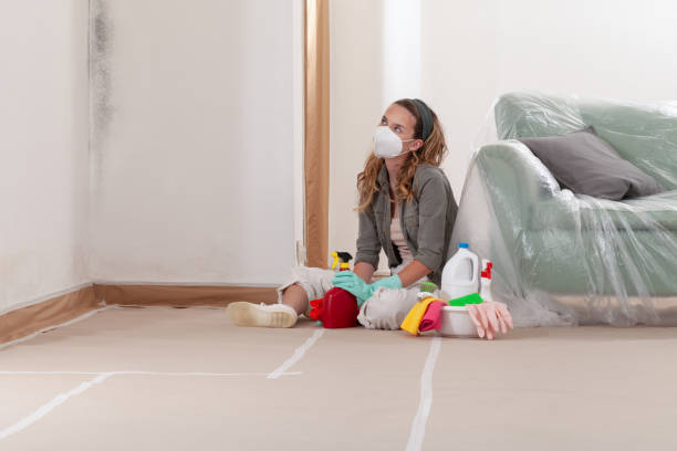Reliable Black Mold Removal contractor in Kennett Square, PA by WQB Mold Removal